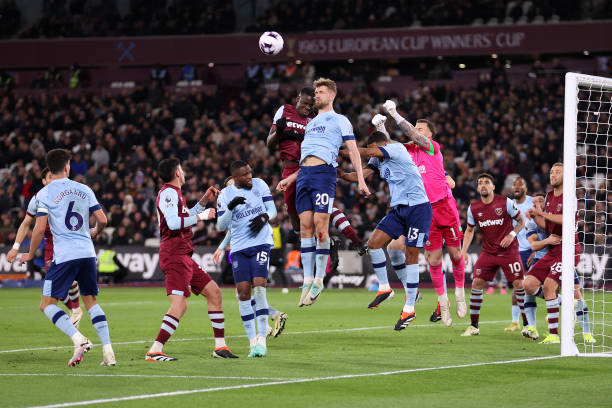 分展示了 分展示了